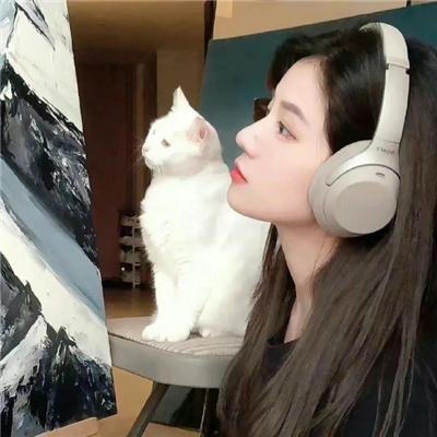 极地熊踪